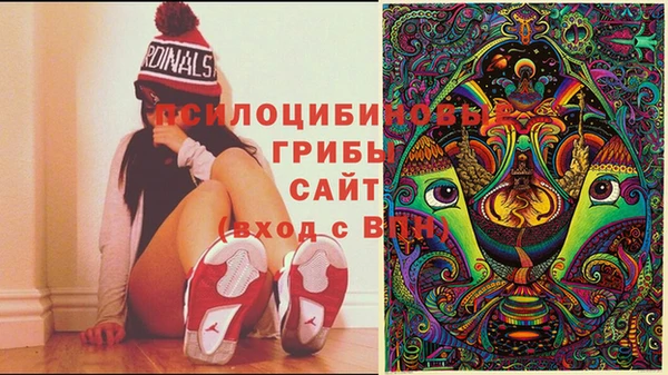 марки lsd Кинешма